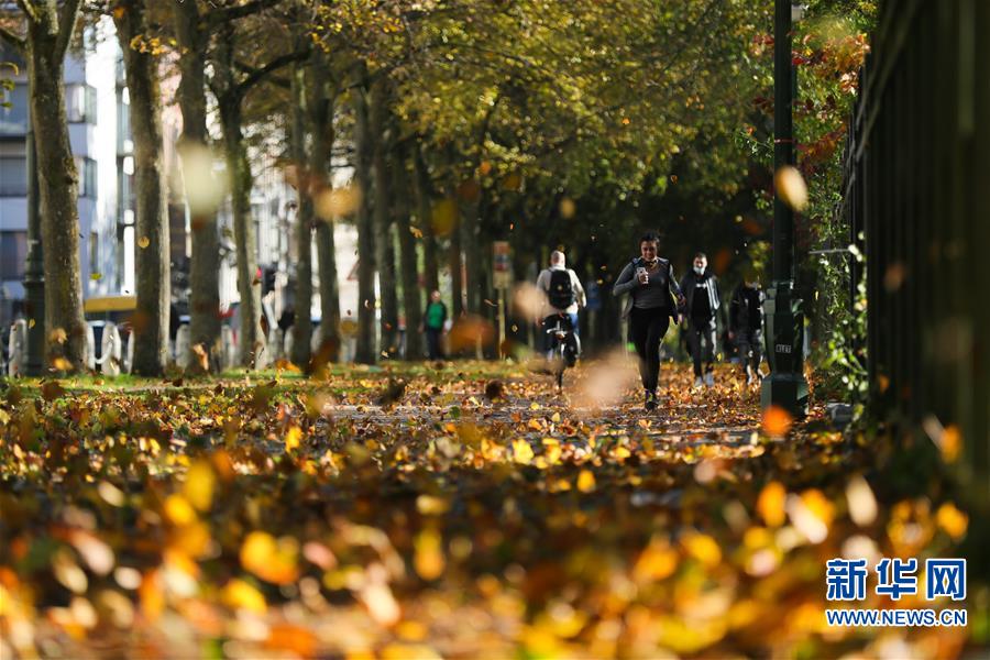 （国际）（7）比利时：秋天的色彩